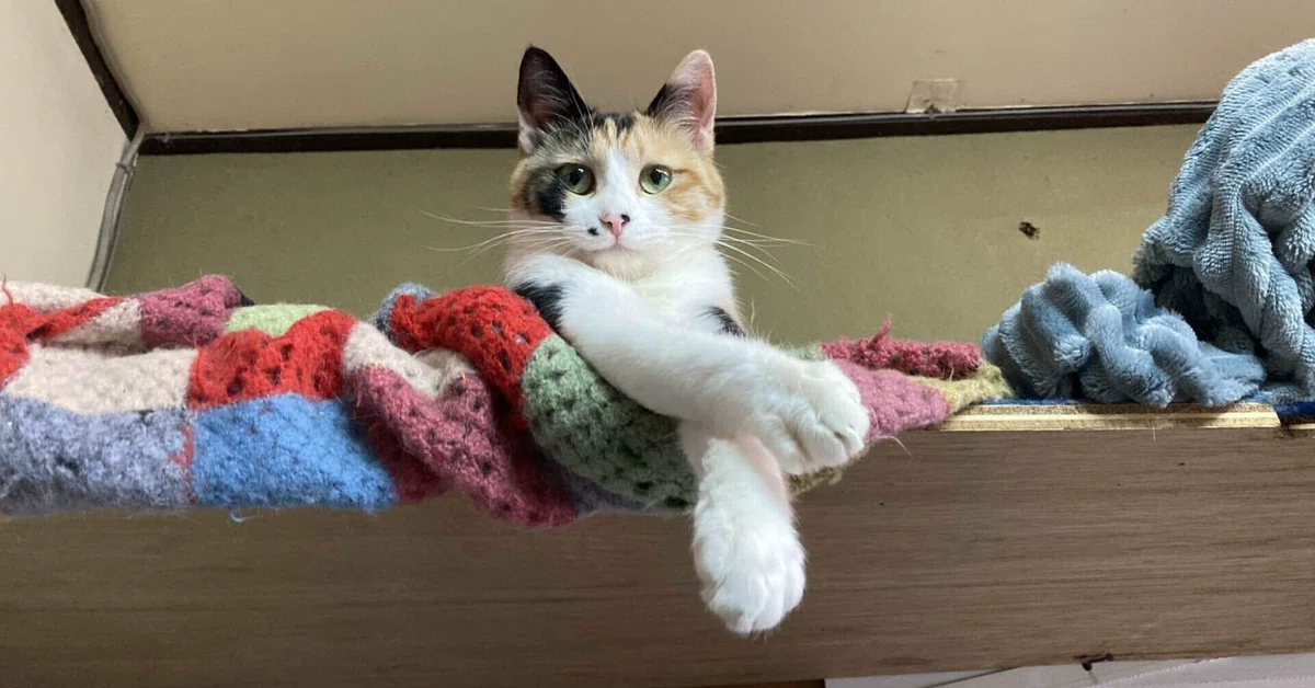 経営者の生成AI活用が遅れる日本の中小企業、従業員の不安顕著に